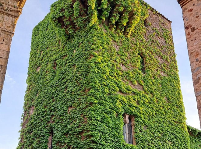 Visitas guiadas temáticas Cáceres Mágica