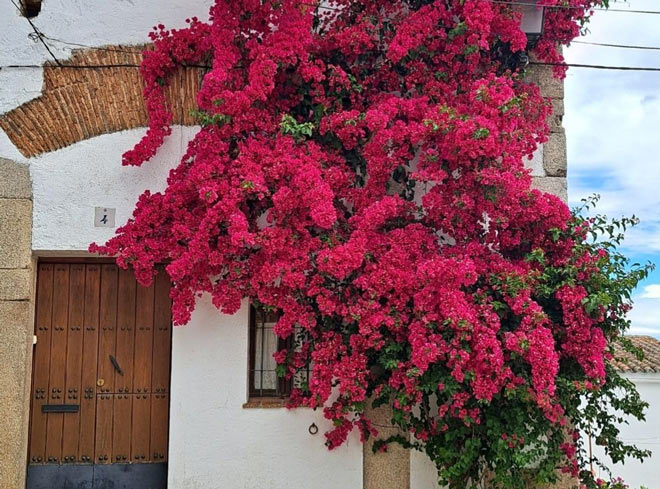 Visitas guiadas en Cáceres privadas individuales o en pareja